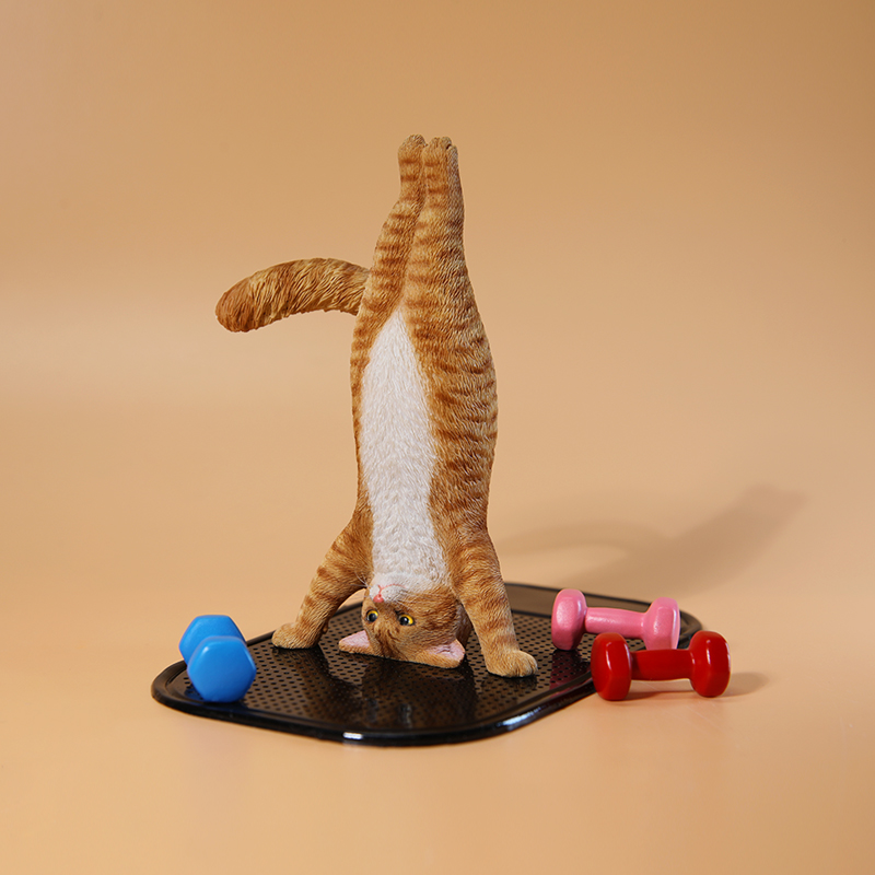 1/6 Scale Mini Simulated Fitne - Yoga Fitness First recension och pris